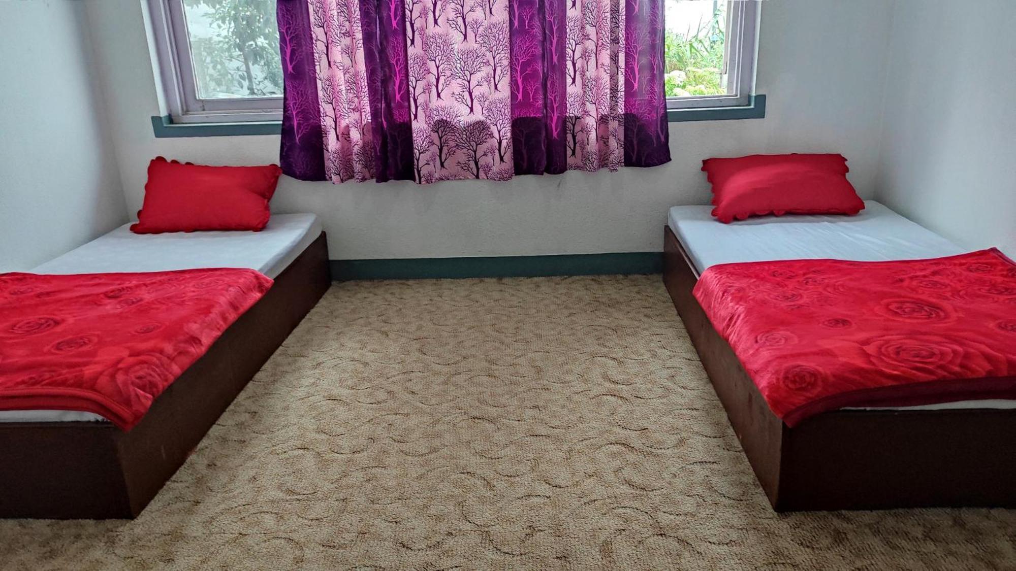 Budget Backpackers Hotel Lalitpur Екстериор снимка