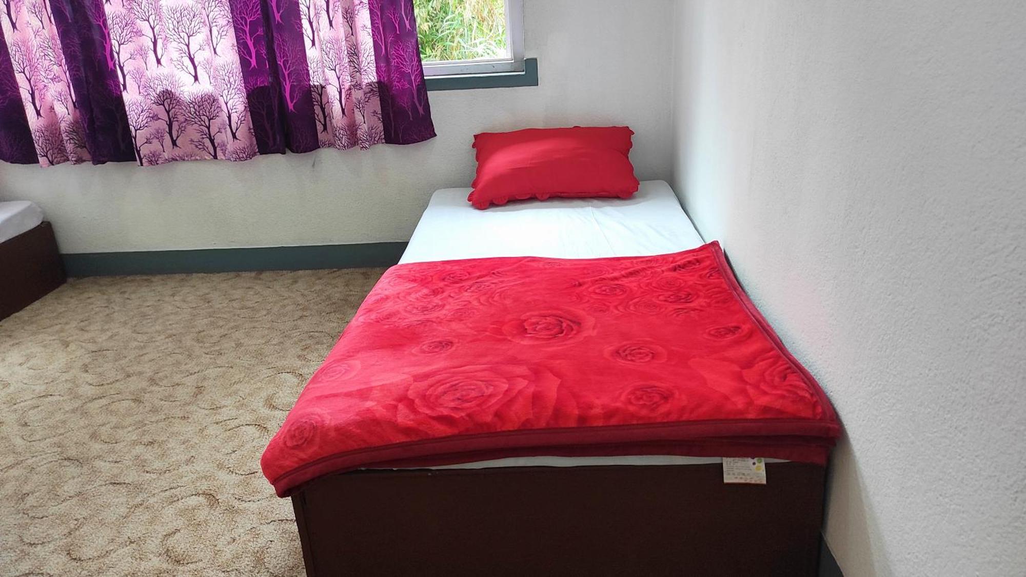 Budget Backpackers Hotel Lalitpur Екстериор снимка